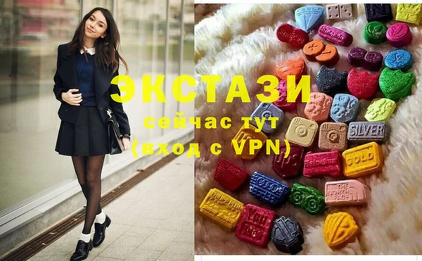 индика Осинники