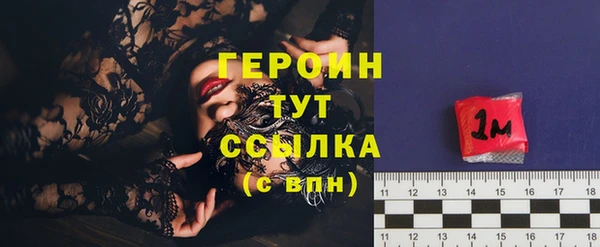 индика Осинники