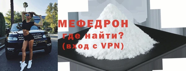 индика Осинники