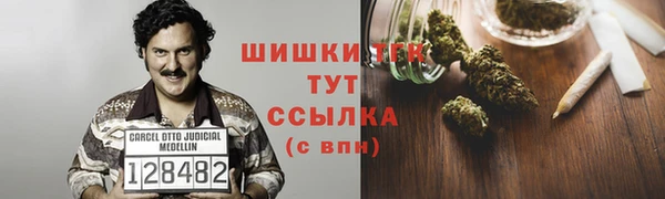 индика Осинники
