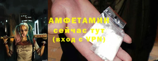 индика Осинники