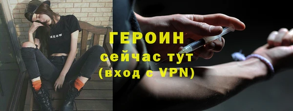 индика Осинники