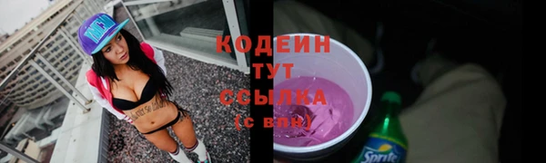 дурь Переславль-Залесский