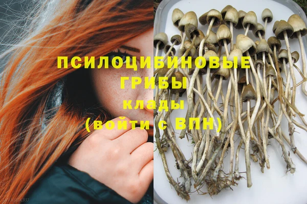 экстази Осташков