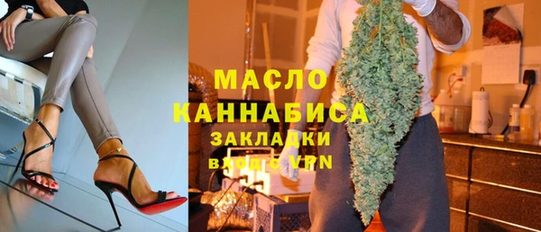 индика Осинники