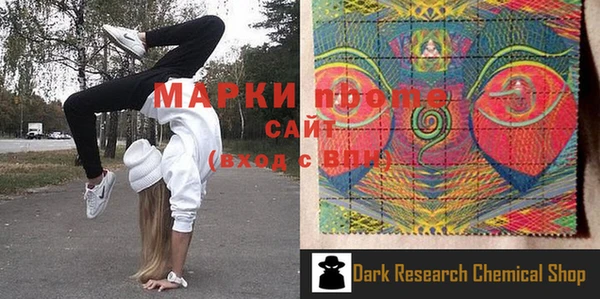 индика Осинники