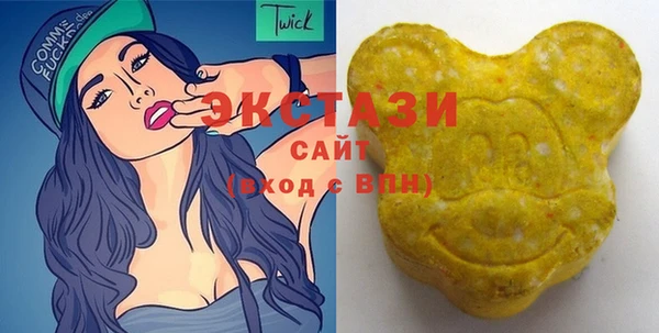 винт Ельня